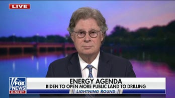 Biden bleeding support among independents: York