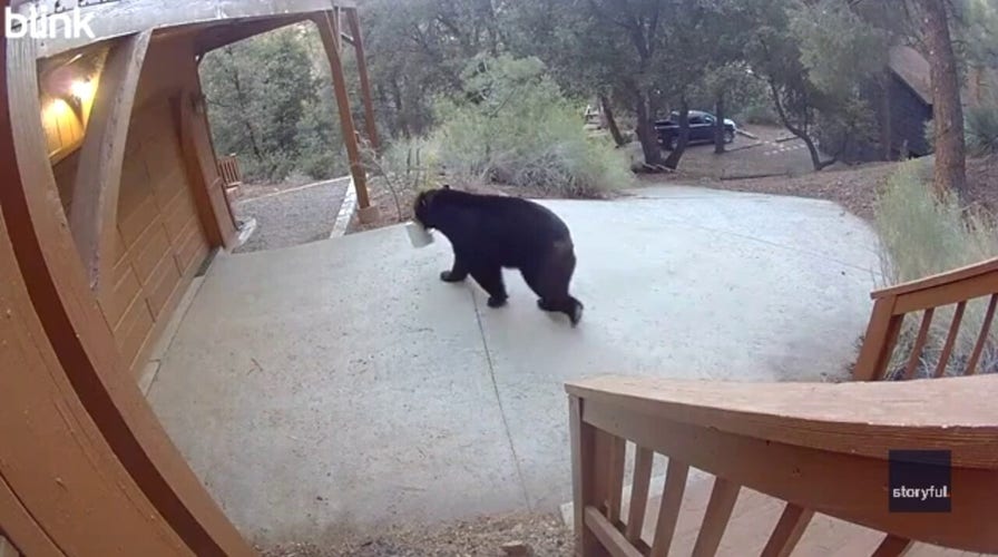 Bear captured on security cam stealing snacks after breaking into Southern California home