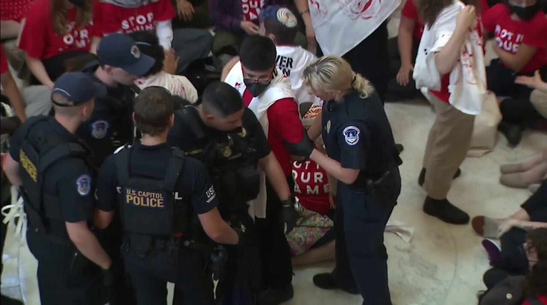 Anti-Israel Protesters Arrested at Cannon Rotunda Ahead of Netanyahu's Address