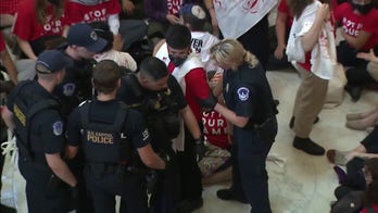 Anti-Israel protesters arrested by police after demonstrating in Cannon Rotunda