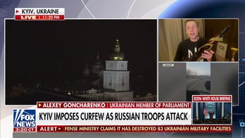 ‘Putin will lose’: Ukrainian member of parliament