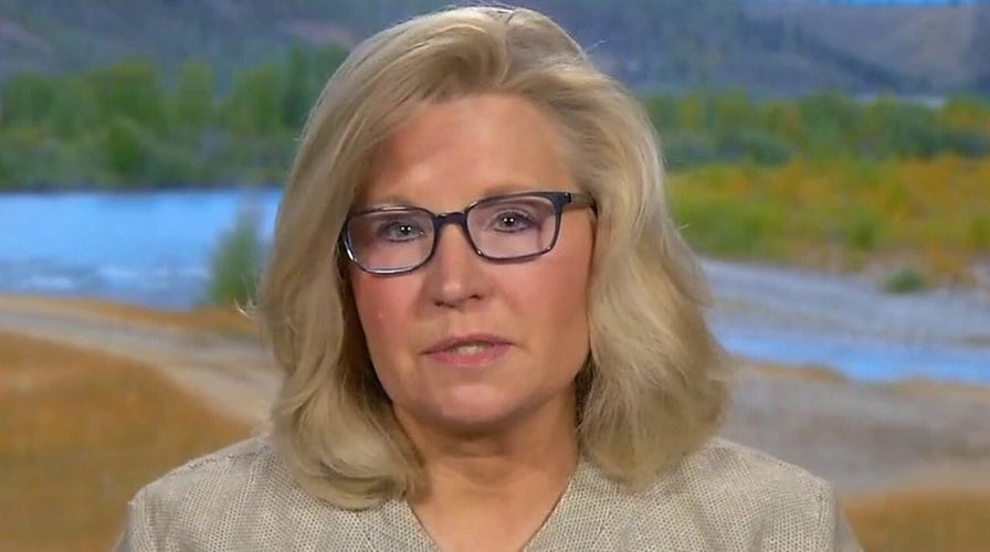 Liz Cheney Calls Kamala Harris A 'radical,' Says Her Voting Record Is ...