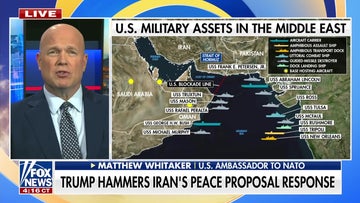 Matthew Whitaker on Iran's 'unacceptable' response and NATO's future