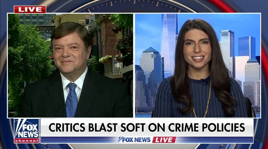 Panel on cities’ ‘real battle’ with crime, school closures