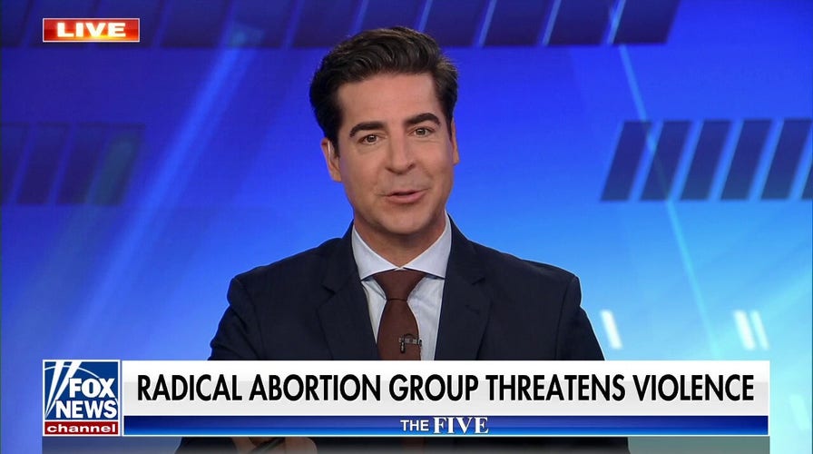 'Left-wing violence is just an idea': Watters