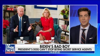 Jesse Watters: The Bidens are terrible dog owners - Fox News