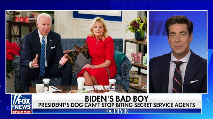 Jesse Watters: The Bidens are terrible dog owners