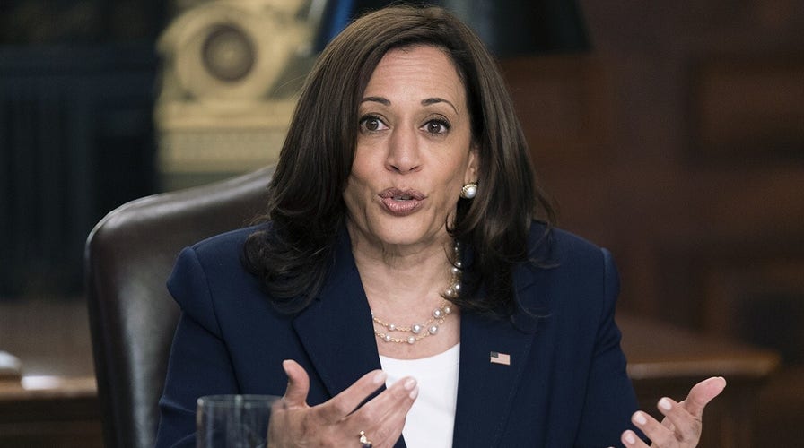 Kamala Harris offered no solutions to border crisis: Ron Vitiello