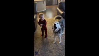 Dog and toddler in Colorado howl together - Fox News