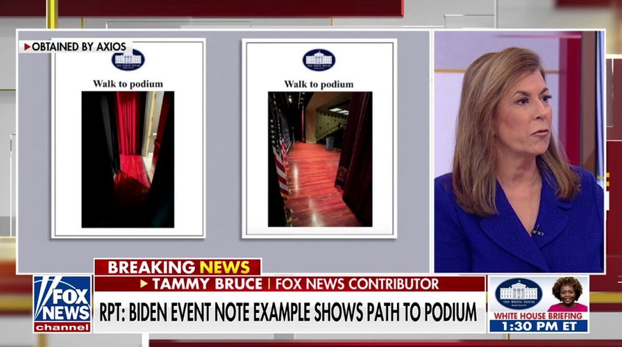 Tammy Bruce calls out Democratic Party's 'abuse': 'Shame on them'