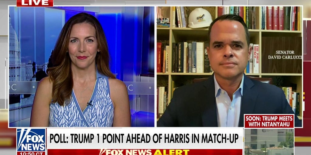 David Carlucci: No one believes Kamala Harris is to the left of Bernie Sanders