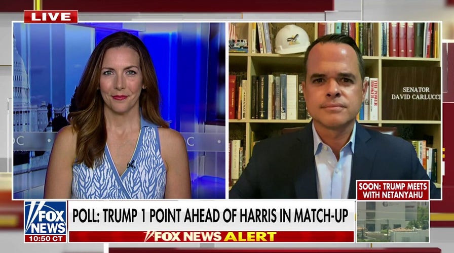 David Carlucci: No one believes Kamala Harris is to the left of Bernie Sanders