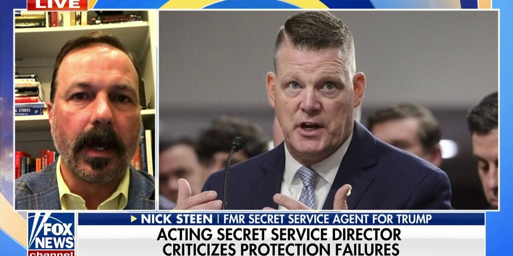 Former Secret Service agent touts acting director: He's in an 'unwinnable position'
