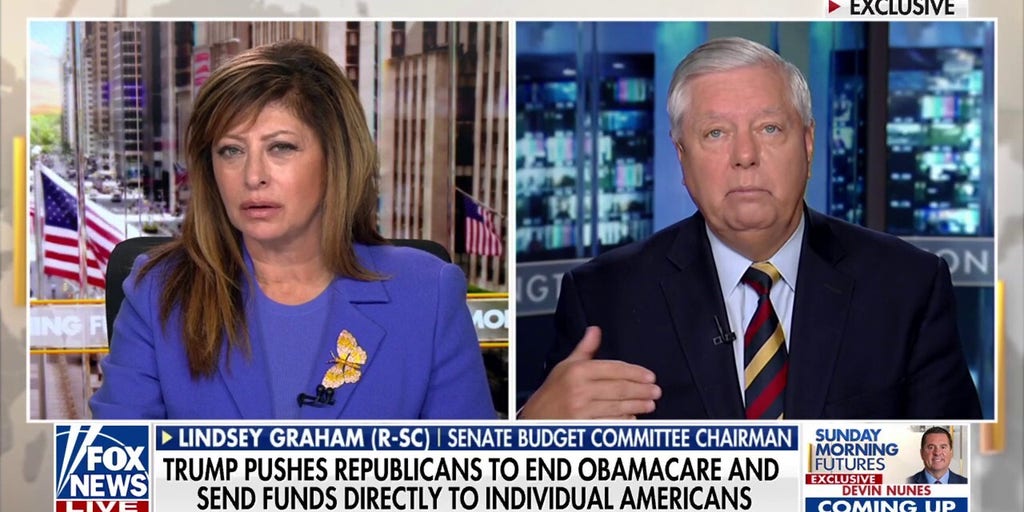 Lindsey Graham calls out Democrats’ ‘political terrorism’ as Senate GOP aims to end shutdown