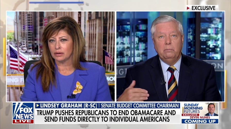 Lindsey Graham calls retired Democrats’ ‘political terrorism’ arsenic Senate GOP aims to extremity shutdown