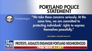 Portland police allow anti-ICE protests despite complaints: 'Protecting individuals' rights'