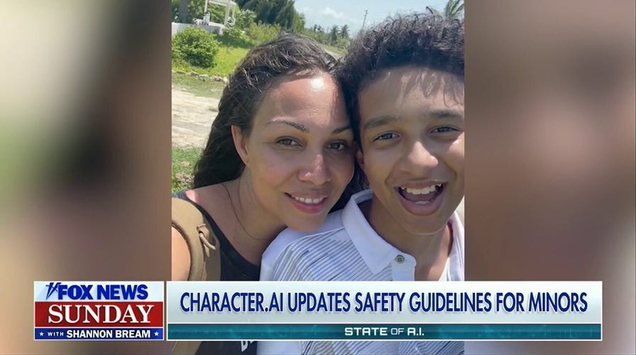 Mother pushes for online information   aft  lad   dies by termination   pursuing  attachment to AI chatbot