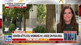 Hunter Biden is not above the law, and justice will be served: Rep. Nancy Mace - Fox News