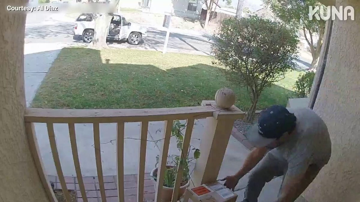 Porch pirates steal package with dog's ashes