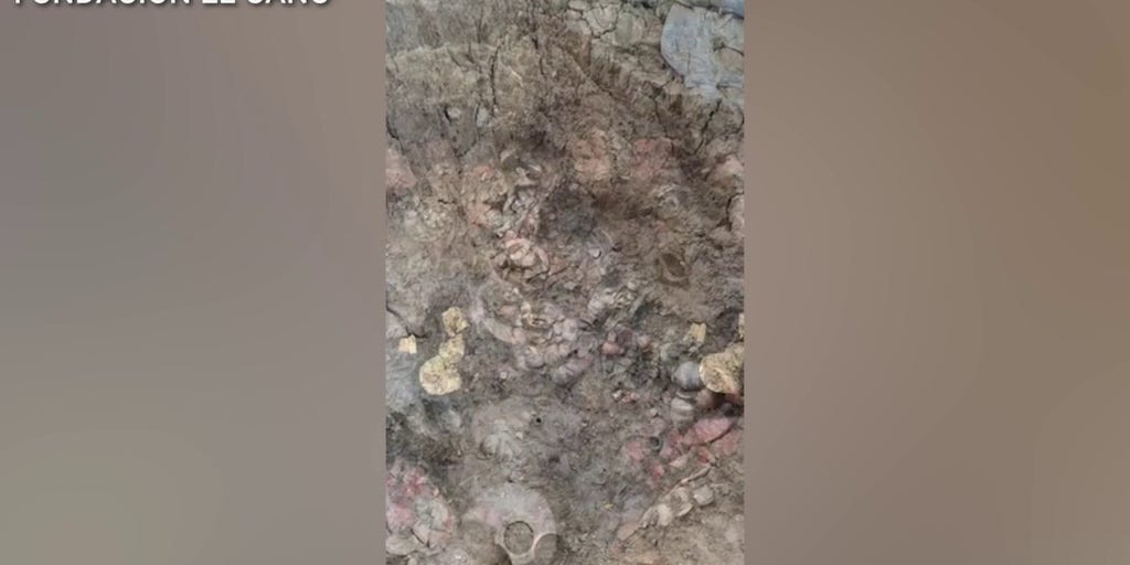 Ancient ceramics, gold unearthed in 1,000-year-old tomb in Panama