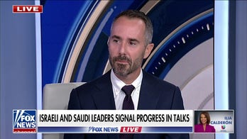 US weapons to Ukraine ‘just in time,’ ‘not an act of charity’: Dan Baer