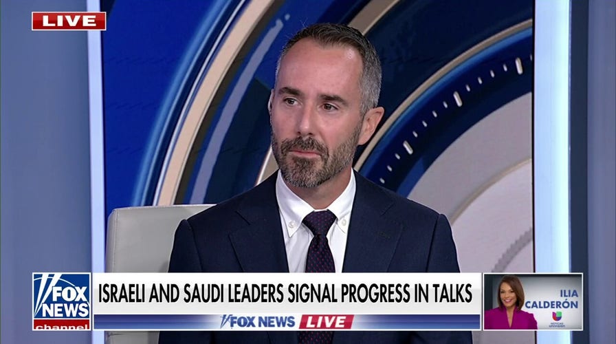 US weapons to Ukraine ‘just in time,’ ‘not an act of charity’: Dan Baer