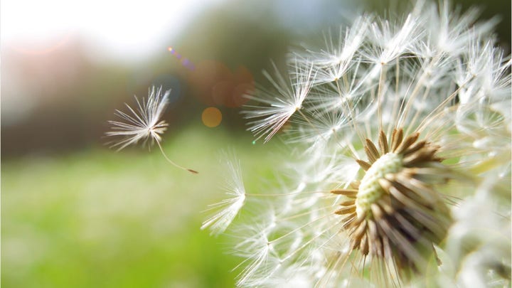 Vernal equinox brings earliest spring to US in 124 years