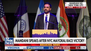 Mamdani addresses supporters: New York, you have delivered a mandate for change