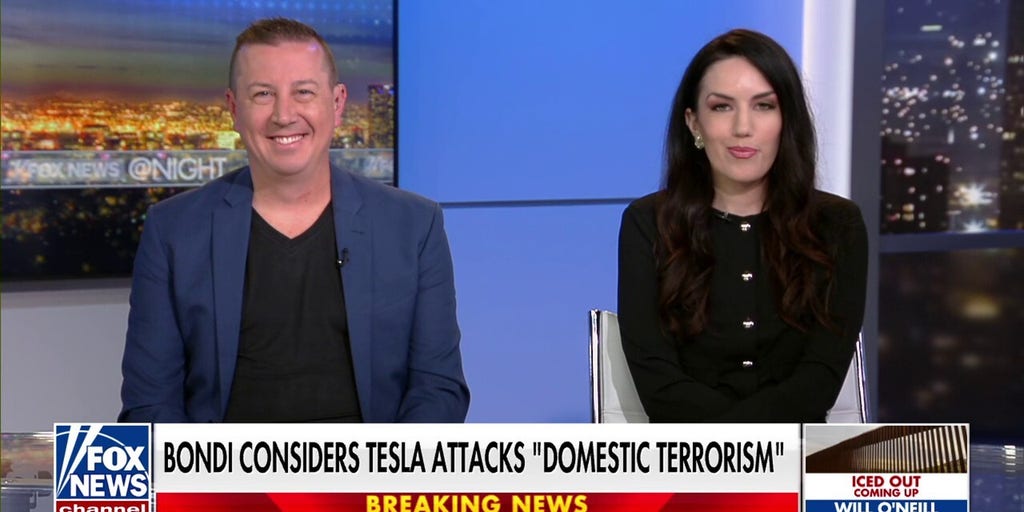 Tesla protest defenders are ‘showing their true colors,’ says former Democrat