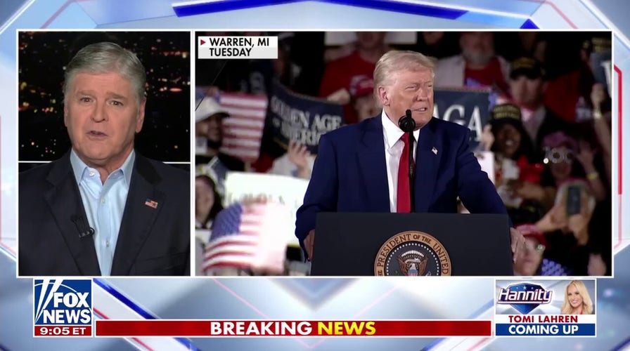 The Democratic Party has become a 'clown show,' says Sean Hannity