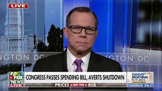 Congress passes omnibus bill averting shutdown, leaving GOP divided over support - Fox News
