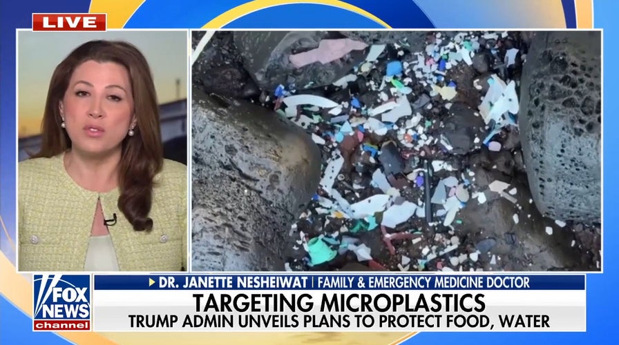 Trump admin declares 'war' on microplastics in food and water