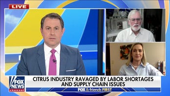 Why the cost of orange juice is expected to rise