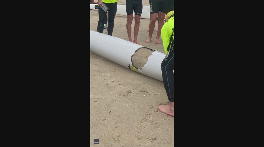 Australian teenager sent flying into the air after great white takes