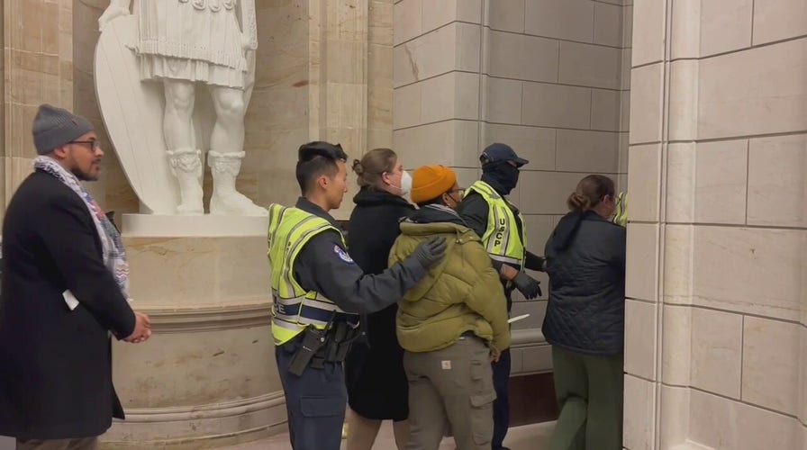 60 anti-Israel protesters arrested on Capitol Hill