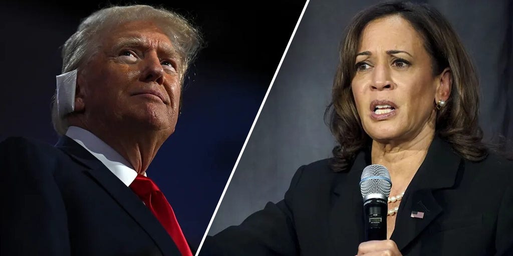 Ex-Clinton pollster 'disappointed' Kamala Harris is using 'fascist, Hitler' language against Trump