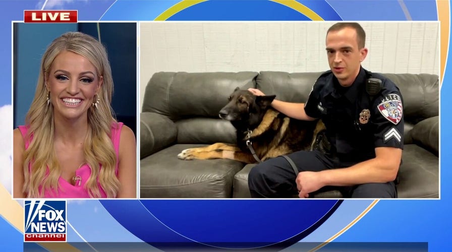 K9 officer Rio’s retirement goes viral