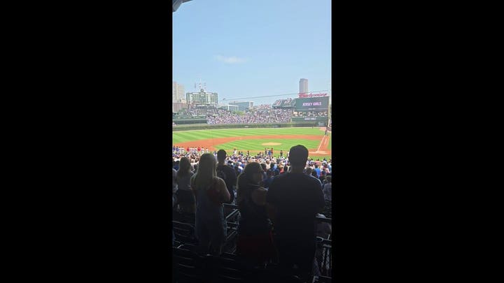 Cubs fan slaps fan for not standing during National Anthem