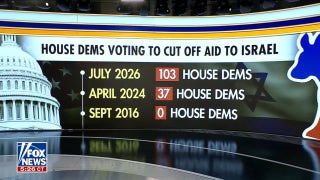Democrats' anti-Israel stance divides party in growing split, Bill McGurn argues