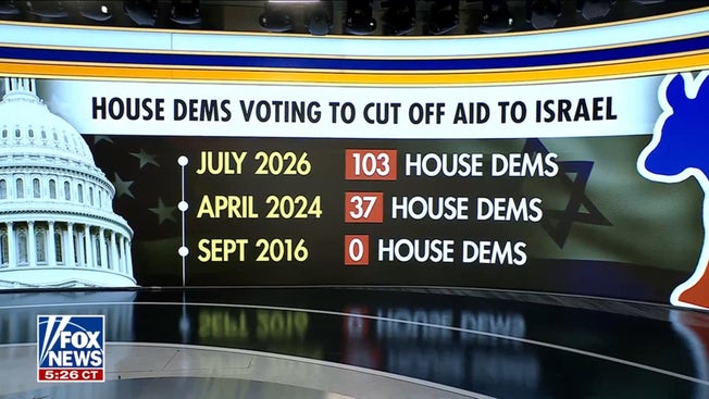 Democrats' anti-Israel stance divides party in growing split, Bill McGurn argues
