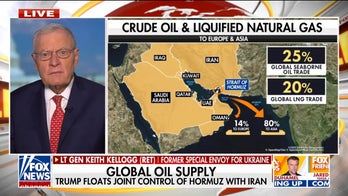 Gen. Kellogg breaks down Trump’s ‘boots on the ground’ options in Iran conflict