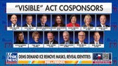 Democrats push to unmask ICE agents despite 'unprecedented' threats of violence