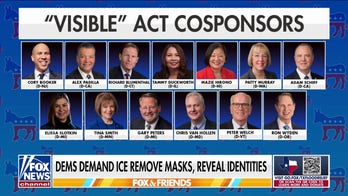 Democrats push to unmask ICE agents despite 'unprecedented' threats of violence