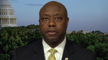 Sen. Tim Scott: S.1 is not a voting rights bill, it's a partisan power grab that will harm faith in elections