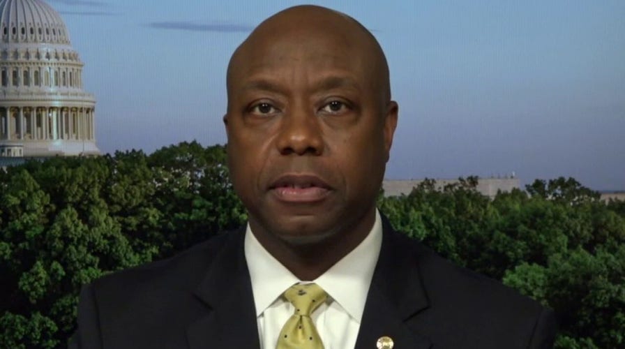 Tim Scott: 'Defund the police' is 'dumbest' thing I've heard in my life