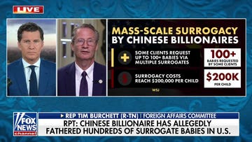 Rep. Tim Burchett sounds alarm on Chinese surrogacy loophole