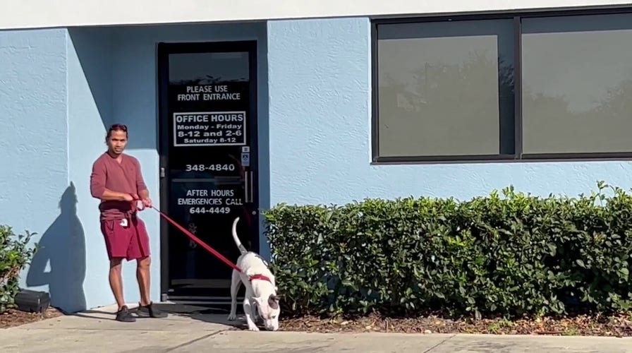 Mario Fernandez evades questions