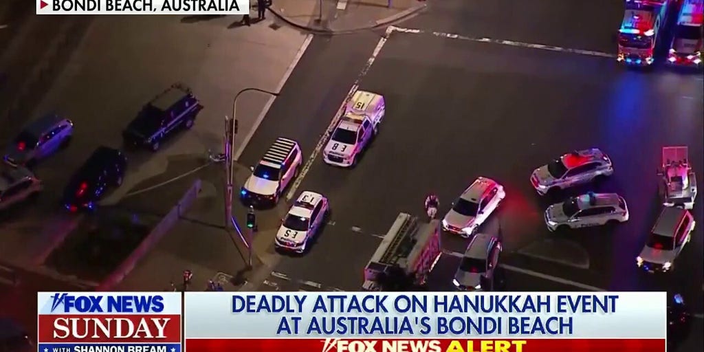 Suspected shooter dead, another in custody after deadly Bondi Beach Hanukkah attack