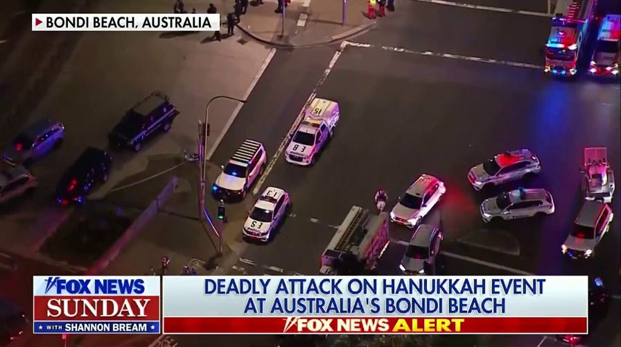 Suspected shooter dead, another in custody after deadly Bondi Beach Hanukkah attack