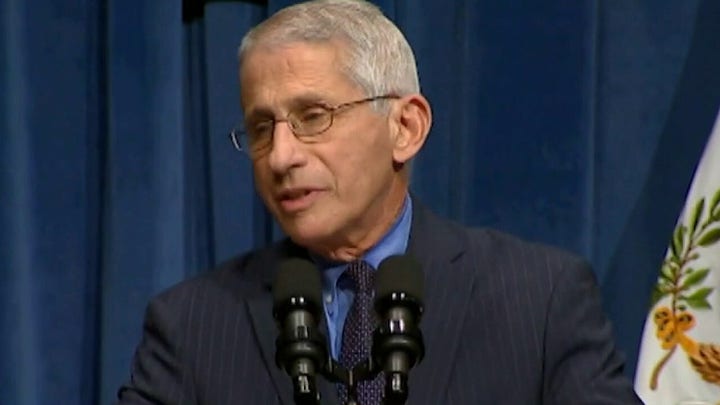Fauci helped suppress Wuhan lab leak theory: report